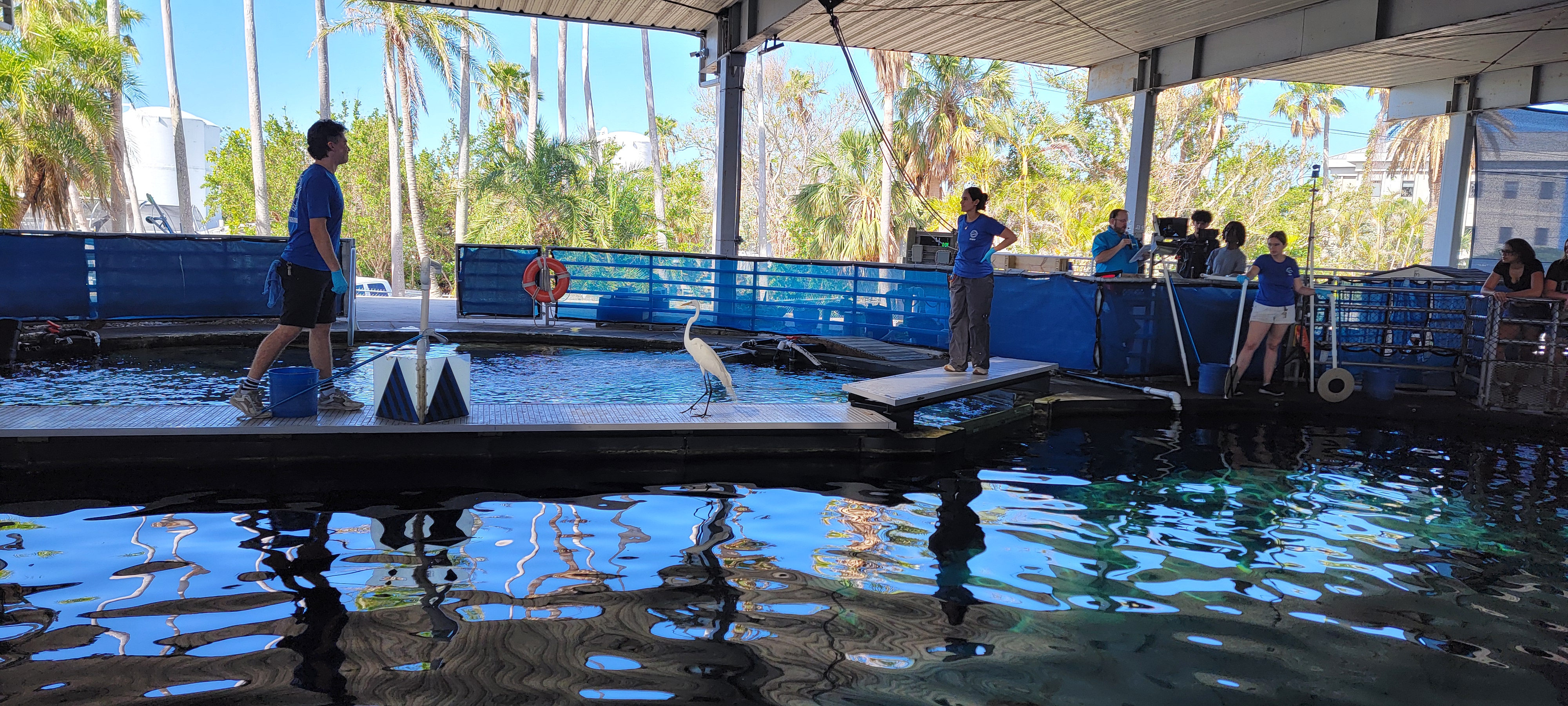 Crane at the aquarium!